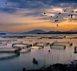 梅州伴游中国网景点丰富(旅游网介绍)