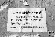 梅州珠海伴游雇用网(珠海游览社雇用信息)