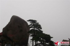 梅州上海伴游私家陪游雇用女模(上海伴游私家陪游雇用女模特)