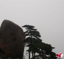 梅州上海伴游私家陪游雇用女模(上海伴游私家陪游雇用女模特)