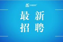 梅州镇江伴游雇用驾驶员(镇江驾驶员雇用苍生网)