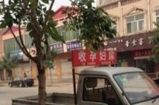 梅州上海伴游 用伴游造句大全(5