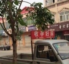梅州上海伴游 用伴游造句大全(5