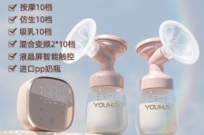 梅州奶模(奶模型)