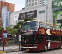 梅州上海私人伴游 上海过年怎么玩？这些“微游”线路了解下→