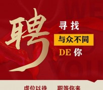 梅州商务伴游招聘 重庆星级酒店诚招司机服务员夜场保安