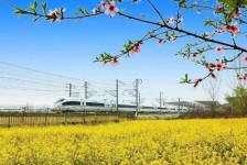 梅州高铁游(高铁游戏下载手机版)
