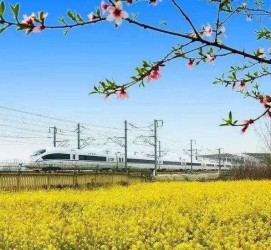 梅州高铁游(高铁游戏下载手机版)