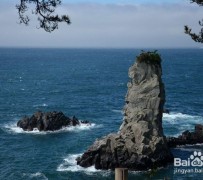 梅州旅游全攻略(上海旅游全攻略)