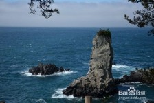 梅州旅游全攻略(上海旅游全攻略)
