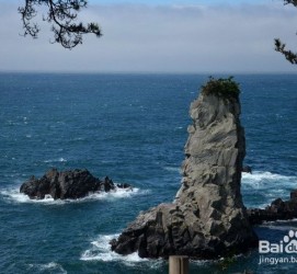 梅州旅游全攻略(上海旅游全攻略)