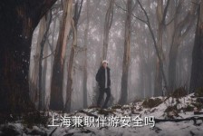 梅州上海私人伴游 上海伴游，上海兼职伴游安全吗