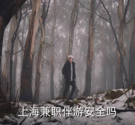 梅州上海私人伴游 上海伴游，上海兼职伴游安全吗