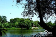 梅州西湖旅游攻略(上海到杭州西湖旅游攻略)