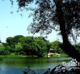 梅州西湖旅游攻略(上海到杭州西湖旅游攻略)