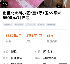 梅州私人伴游是什么 “过年租友”陷阱：骗财与色情服务