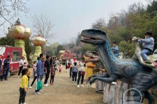 梅州中国伴游带你打卡网红南山竹海(南山竹海网上预约)