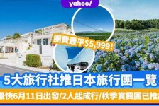 梅州旅游价格(旅游价格机制)