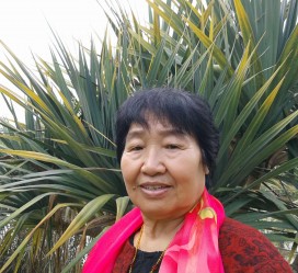 梅州白叟带老伴游半个中国(白叟外出旅游)