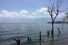 梅州洱海旅游攻略(洱海旅游攻略自由行)