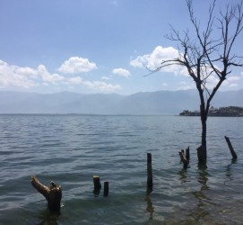 梅州洱海旅游攻略(洱海旅游攻略自由行)