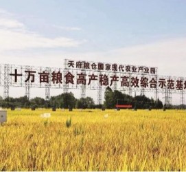 梅州关于成都商务伴游外围雇用的信息