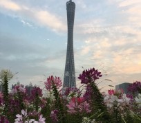 梅州广州旅游攻略(杭州到广州旅游攻略)