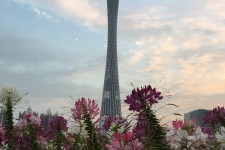 梅州广州旅游攻略(杭州到广州旅游攻略)