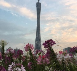 梅州广州旅游攻略(杭州到广州旅游攻略)