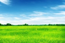 梅州上海伴游 上海模特伴游微信号的交友宣言