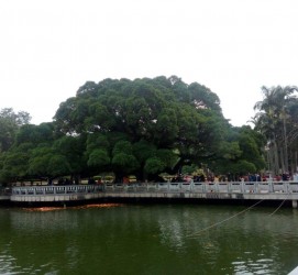 梅州福州旅游攻略(福州旅游攻略二日游)