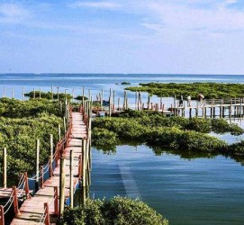 梅州旅游哪里好玩(云南旅游哪里好玩)