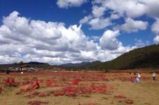 梅州旅游去处(暑期最好的旅游去处)