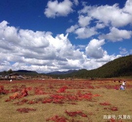 梅州旅游去处(暑期最好的旅游去处)