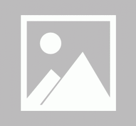 梅州私人伴游 黄金周里动“黄”经 天津又现“私人陪游”逆流