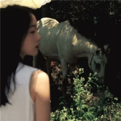 梅州私家伴游让你拥有一次完美的旅游体验